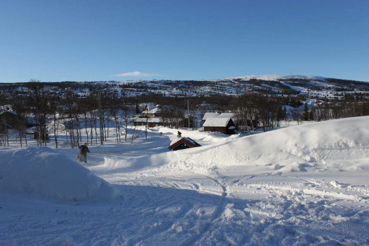 Bergfosshytta Apartment Ron Exterior foto